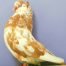 Flight pigeons for sale 2